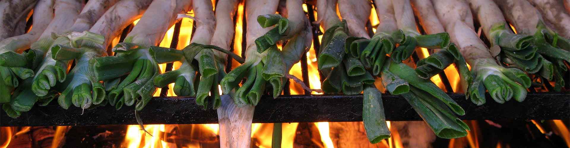 ¿Dónde comer calçots en Berrobi?<br>Restaurantes para calçotadas