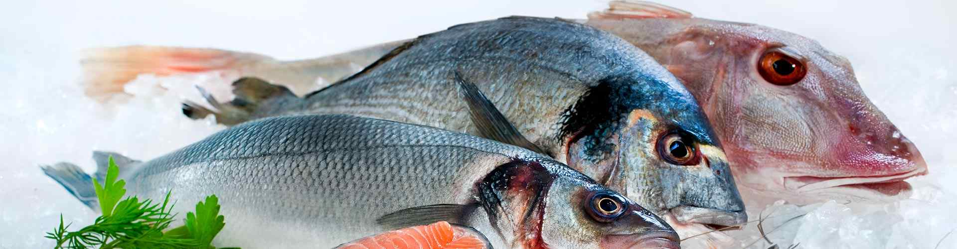 ¿Dónde comer pescado en Oural?