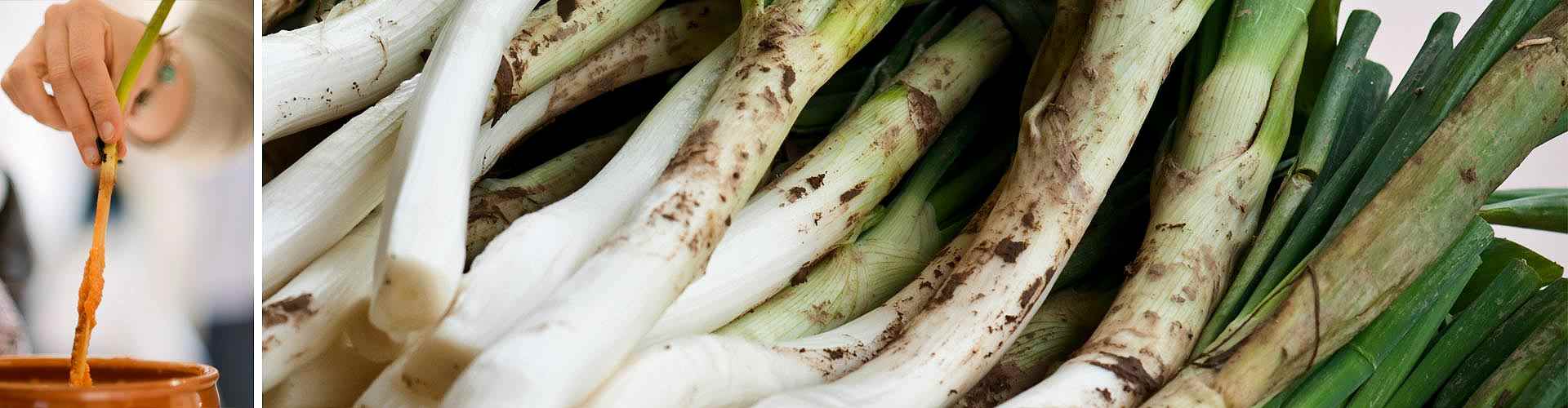 Comer calçots en Muro de Alcoy