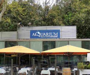 Restaurante Restaurante Aquarium